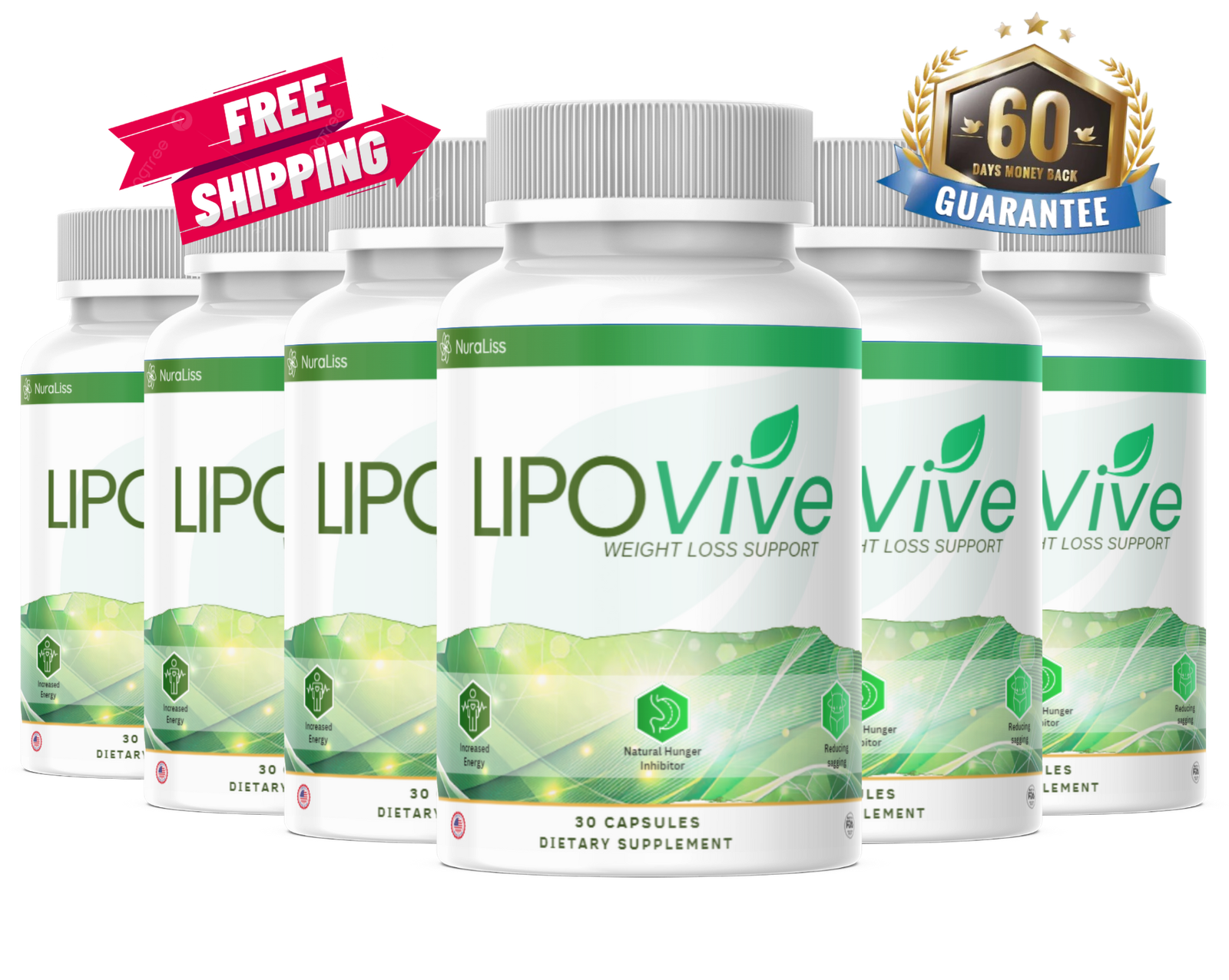 LipoVive 6 Bottle